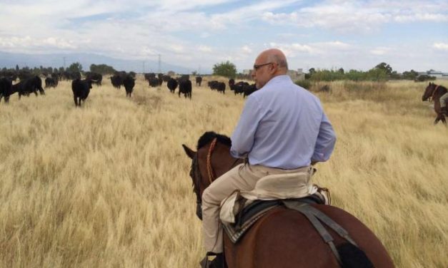 Echávarri apoya la trashumancia al acompañar a un rebaño de 180 vacas por la Cañada Real Leonesa
