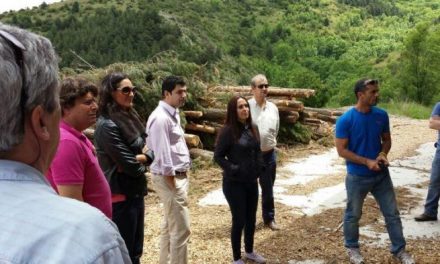 Extremadura trabajará en el aprovechamiento energético de la madera de montes públicos de Las Hurdes