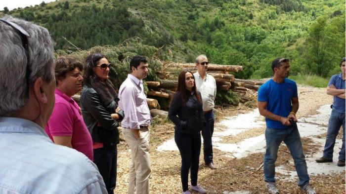 Extremadura trabajará en el aprovechamiento energético de la madera de montes públicos de Las Hurdes