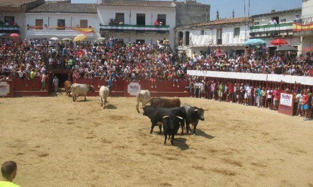 Moraleja celebra una reunión este viernes para organizar el traslado de los bueyes en San Buenaventura