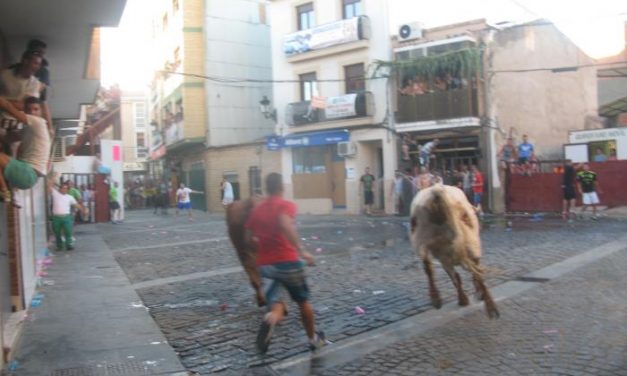 Las fiestas de San Buenaventura de Moraleja arrancan con tres heridos durante los festejos taurinos