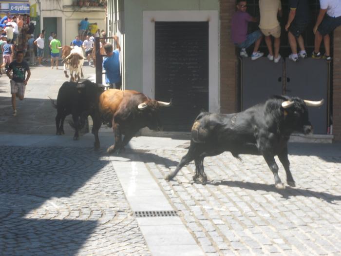 Los toros de Carmen Valiente realizan el encierro matinal más largo de las fiestas de San Buenaventura