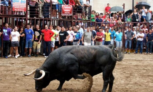 El Ayuntamiento de Torrejoncillo presenta el cartel de astados de los festejos taurinos de agosto
