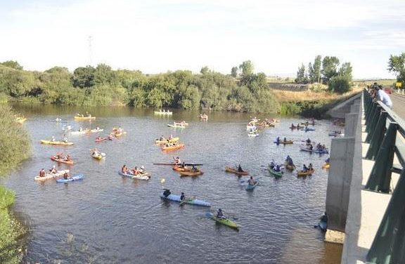 Cerca de 700 aficionados participan en el descenso en piragua por aguas del río Alagón