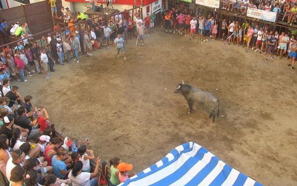 Los festejos taurinos de Torrejoncillo concluyen su segunda jornada sin incidentes