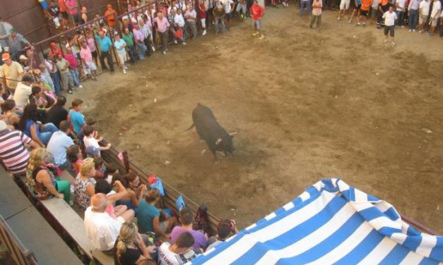 Una exhibición ecuestre y otra de recorte puro animan los festejos taurinos de Torrejoncillo