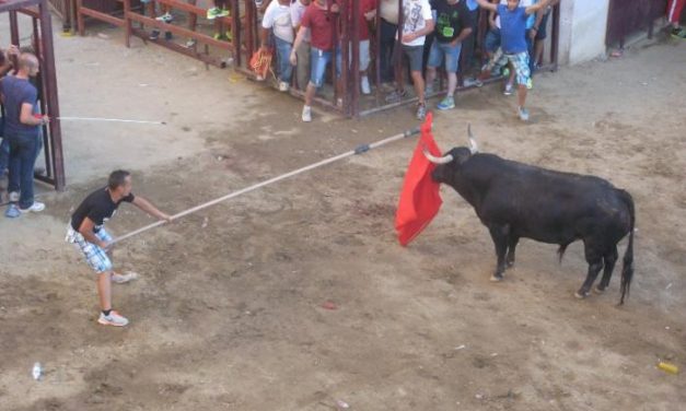 Una exhibición ecuestre y otra de recorte puro animan los festejos taurinos de Torrejoncillo