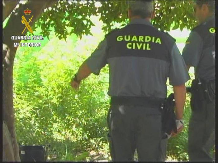 La Guardia Civil de Valencia de Alcántara detiene a dos personas por un delito de cultivo de drogas