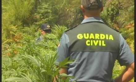La Guardia Civil de Valencia de Alcántara detiene a 11 personas por robo, cultivo de marihuana y vandalismo