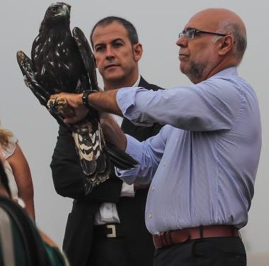 Echávarri participa en la suelta de un águila real y destaca el récord de esta especie con 115 parejas