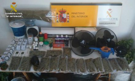 La Guardia Civil desmantela un laboratorio y una plantación con más de 34 plantas de marihuana
