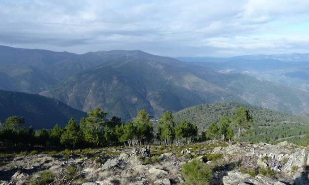 La II Carrera por Montaña «Cumbres Hurdanas» cierra su primer plazo de inscripción este viernes