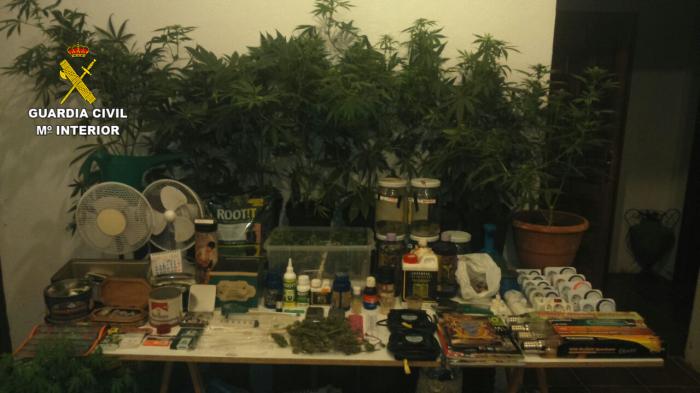 La Guardia Civil desmantela un laboratorio de cultivo intensivo de marihuana en Las Hurdes