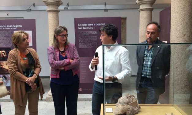 Cultura muestra en una exposición la falange de un homínido “puente” entre el Neandertal y Preneandertal