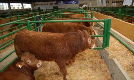 El Ministerio de Agricultura destaca en Trujillo el papel del sector agroalimentario en tiempos de crisis