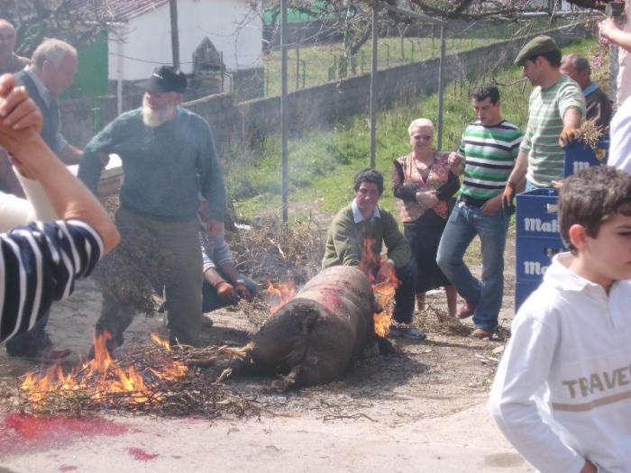 Rubiacó acogió a decenas de visitantes en la séptima edición de la matanza tradicional hurdana
