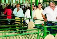 La Feria de la Primavera de Zafra prevé congregar unas 1.300 cabezas de ganado ovino del 4 al 6 de abril