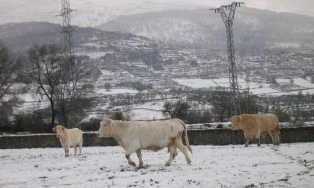 El 112 matiene la alerta amarilla por nevadas en el norte de la provincia de Cáceres