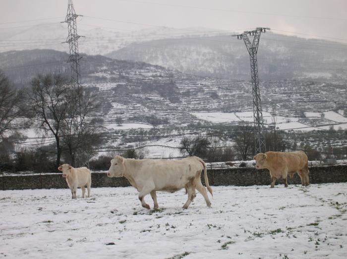 El 112 matiene la alerta amarilla por nevadas en el norte de la provincia de Cáceres