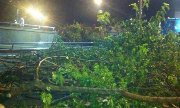 El Centro de Urgencias 112 atendió este martes 48 incidentes relacionados con el temporal de viento