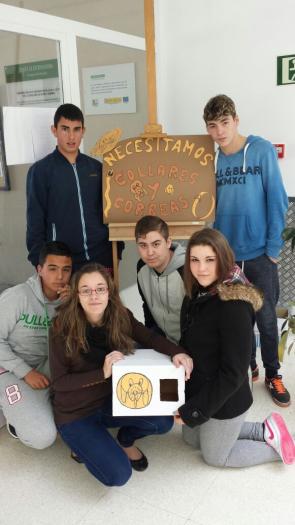 Estudiantes de Moraleja y Sierra de Gata participan en un proyecto para fomentar el emprendimiento