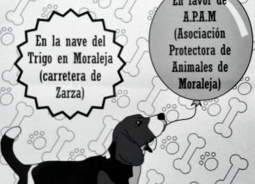 La Protectora de Animales de Moraleja organiza un mercado de segunda mano para recaudar fondos