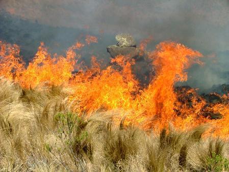 Medio Ambiente adelanta la época de peligro medio de incendios en zonas de la provincia de Cáceres