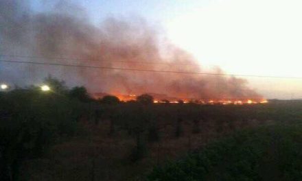 La Guardia Civil detiene a un hombre acusado de provocar un incendio forestal de 25 hectáreas en Las Hurdes