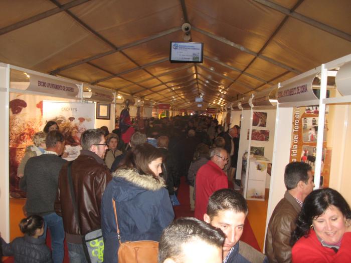 El Festival Taurino de Coria reparte este fin de semana un total de once orejas entre los diestros participantes