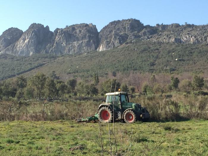 El Centro de Investigaciones pone en marcha los cultivos experimentales en Valencia de Alcántara