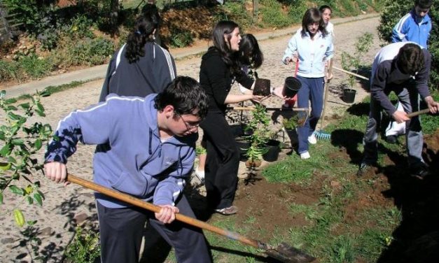 Los alumnos de cinco institutos de la comarca del Valle del Alagón plantan un total de 400 encinas