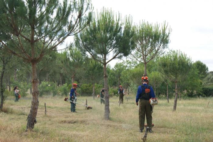 El Centro de Formación de Moraleja instruirá a profesionales en jardinería, desbroce forestal y soldadura