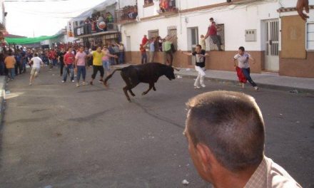 El barrio de las Eras de Moraleja celebra el Primero de Mayo con eventos taurinos y verbena
