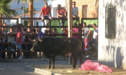 Un hombre de 64 años resulta herido por asta de toro en los festejos de Puebla de Argeme