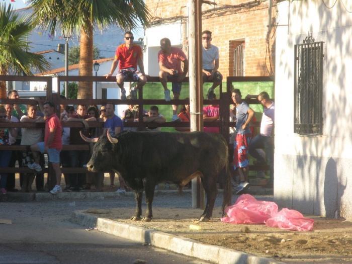 Un hombre de 64 años resulta herido por asta de toro en los festejos de Puebla de Argeme