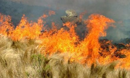 El Gobierno de Extremadura declara la época de peligro medio de incendios forestales a partir del próximo lunes