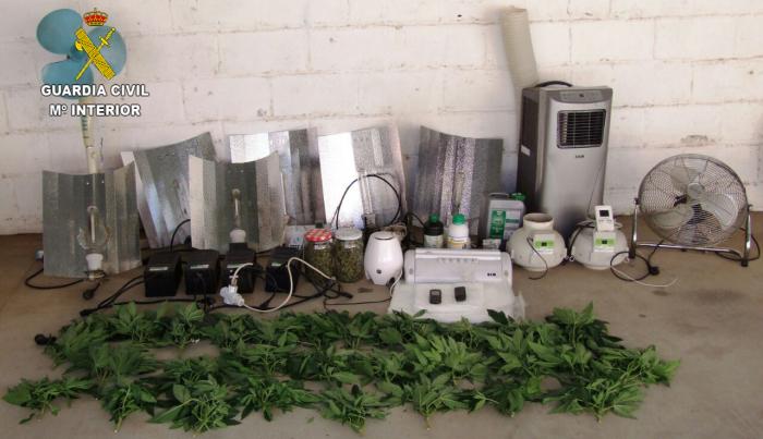 La Guardia Civil desmantela un laboratorio de marihuana y erradica un punto de venta en Acebo