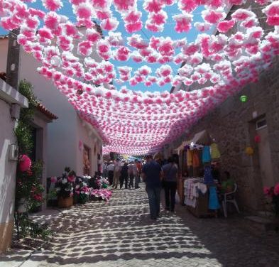Más de 15.000 personas acuden al V Festival de las Flores de Aldeia de Santa Margarida
