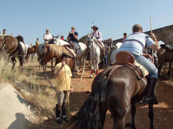 El Ayuntamiento de Coria suspende el traslado tradicional de los bueyes hasta los corrales