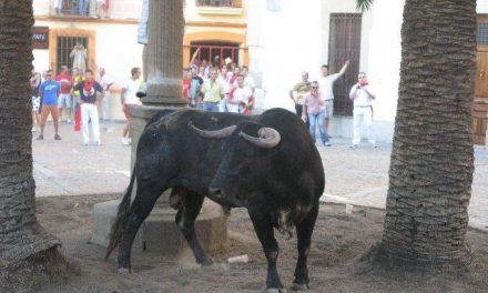 La lidia del toro de la madrugada de San Juan en Coria transcurre sin incidentes