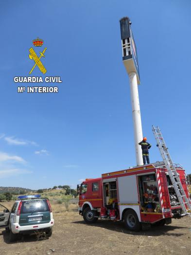 Guardia Civil y bomberos de Plasencia rescatan a una cigueña atrapada en un poste publicitario