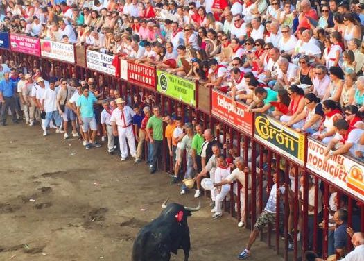 La lidia del último toro de San Juan finaliza sin incidentes importantes este domingo en Coria