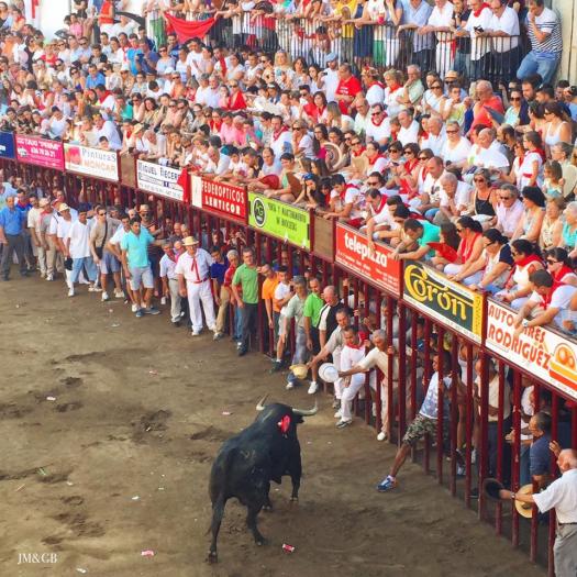 La lidia del último toro de San Juan finaliza sin incidentes importantes este domingo en Coria