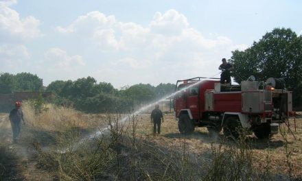 Arden cincuenta hectáreas de dehesa y matorral cerca del municipio de Pedroso de Acim