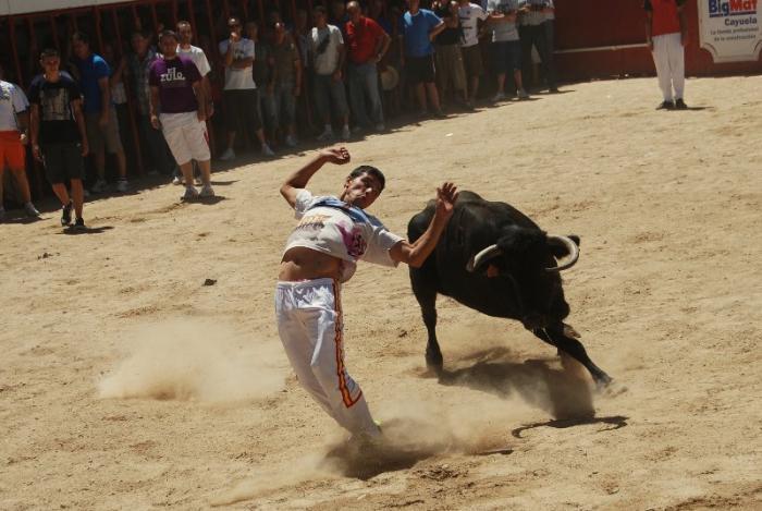 El Colectivo de Autónomos de Moraleja elige un toro «bien armado y fino» para San Buenaventura