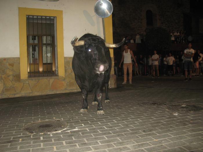 Los primeros festejos taurinos con reses bravas de San Buenaventura transcurrren sin incidentes