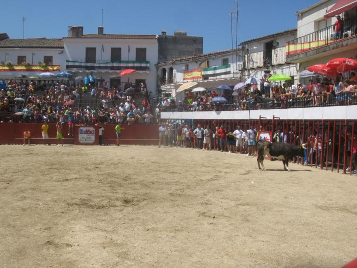 Astados de Carmen Valiente protagonizan el encierro más largo de San Buenaventura con cinco minutos