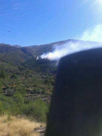 El Ayuntamiento de Gata confirma que el incendio afecta a cerca de cien hectáreas de pino y matorral
