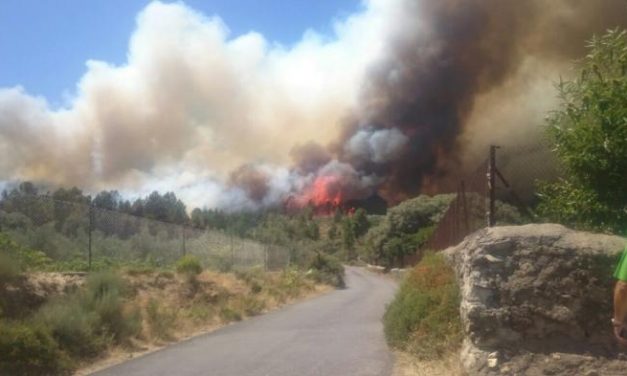 El Plan Infoex reactiva el nivel 1 de peligrosidad del incendio declarado este jueves en Acebo