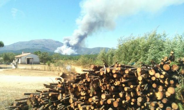 El Plan Infoex activa el nivel 2 de peligrosidad en el incendio originado  en la localidad de Acebo